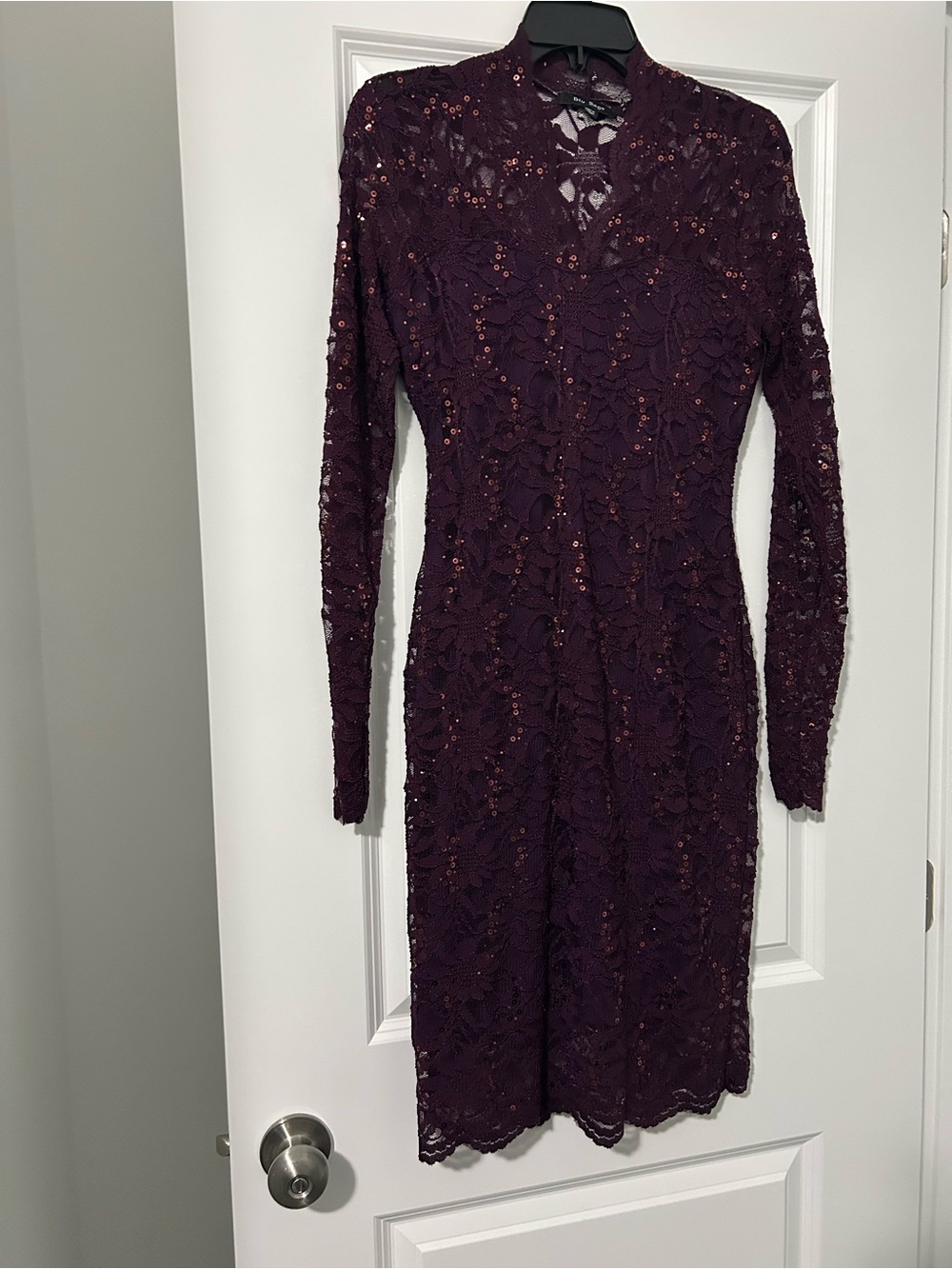 Blu Sage Elegant Lace Long-Sleeve Cocktail Dress - Deep Plum Size 4P